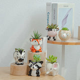 Obbty Nordic New Style Ceramic Animal Flower Pot Cartoon Zebra Sheep Cow Head Mini Pot Succulents Plants Bonsai Pots Home Decoration