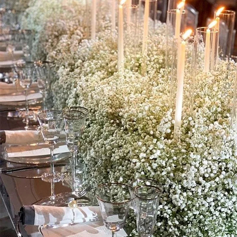 Obbty White Natural Dried Gypsophila Baby's Breath Dried Flowers Gypsophila Arrangement Home Decoration Wedding Table Decor Floral DIY