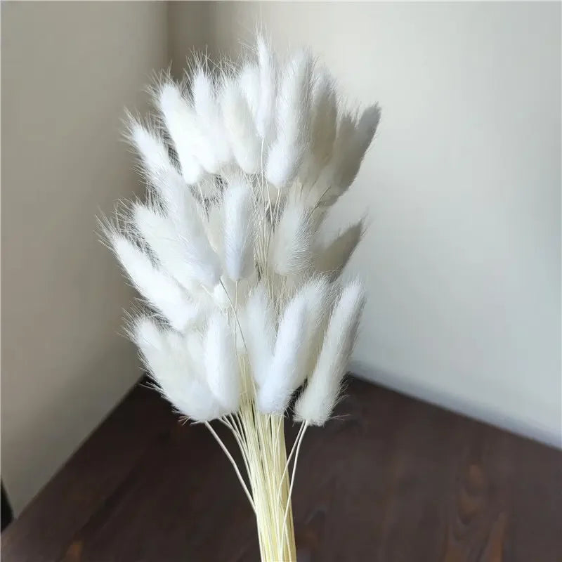 Obbty 100Pcs Mix Dried Natural Rabbit Bouquets Bunny Tail Grass Dry Lagurus Flower Pampas Grass for Party Boho Wedding Home Decoration