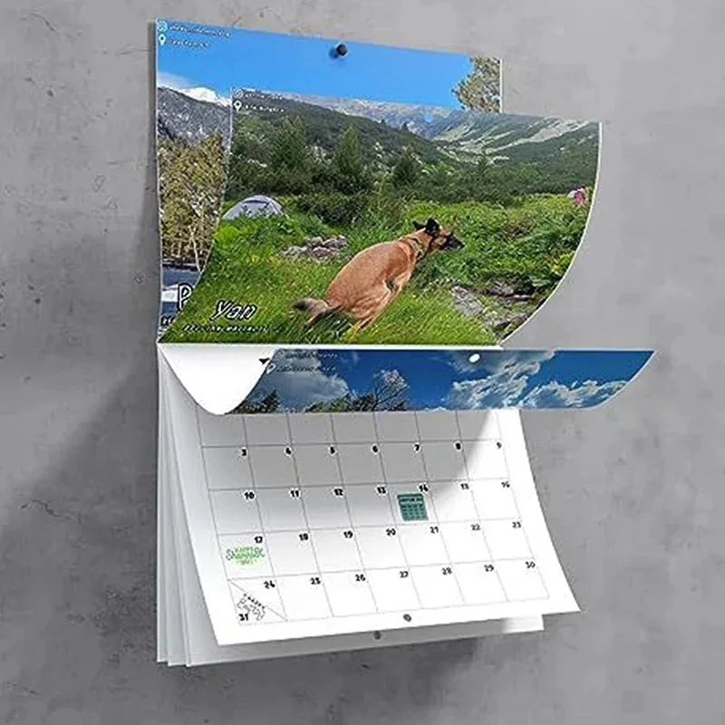 Obbty 2024 Wall Calendar Funny Dog Pooping Monthly Planner Funny Dog Calendar Gift For Friends Family New Year Home Decor