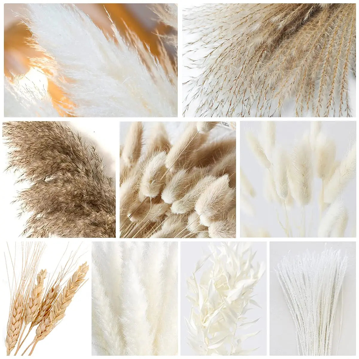 Obbty 80pcs Pampas Grass Flowers Set,Dried Plants Bouquet Arrangement,100% Natural Dry Flowers Boho Decoration,Living Room Vases Decor