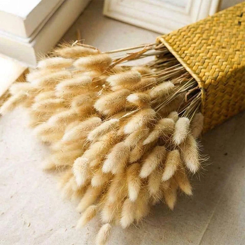 Obbty 80pcs Pampas Grass Flowers Set,Dried Plants Bouquet Arrangement,100% Natural Dry Flowers Boho Decoration,Living Room Vases Decor