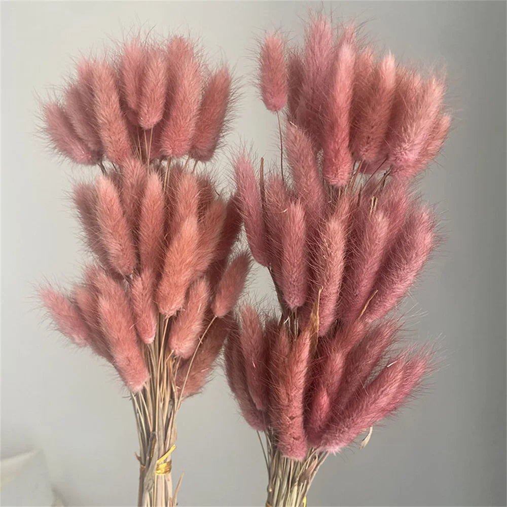 Obbty 100Pcs Mix Dried Natural Rabbit Bouquets Bunny Tail Grass Dry Lagurus Flower Pampas Grass for Party Boho Wedding Home Decoration