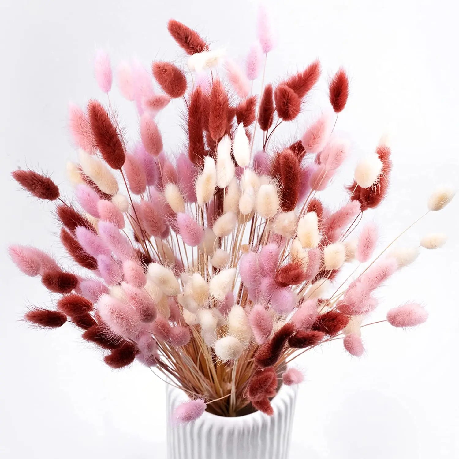 Obbty 100Pcs Mix Dried Natural Rabbit Bouquets Bunny Tail Grass Dry Lagurus Flower Pampas Grass for Party Boho Wedding Home Decoration