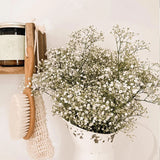 Obbty White Natural Dried Gypsophila Baby's Breath Dried Flowers Gypsophila Arrangement Home Decoration Wedding Table Decor Floral DIY