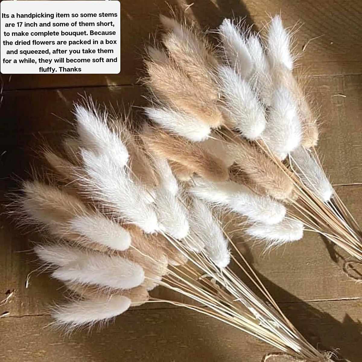 Obbty 100Pcs Mix Dried Natural Rabbit Bouquets Bunny Tail Grass Dry Lagurus Flower Pampas Grass for Party Boho Wedding Home Decoration