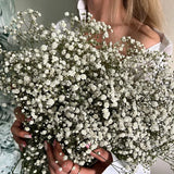 Obbty White Natural Dried Gypsophila Baby's Breath Dried Flowers Gypsophila Arrangement Home Decoration Wedding Table Decor Floral DIY