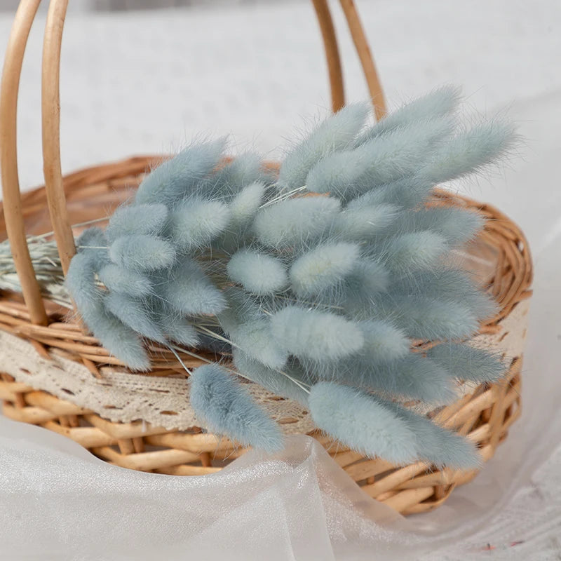 Obbty 100Pcs Mix Dried Natural Rabbit Bouquets Bunny Tail Grass Dry Lagurus Flower Pampas Grass for Party Boho Wedding Home Decoration