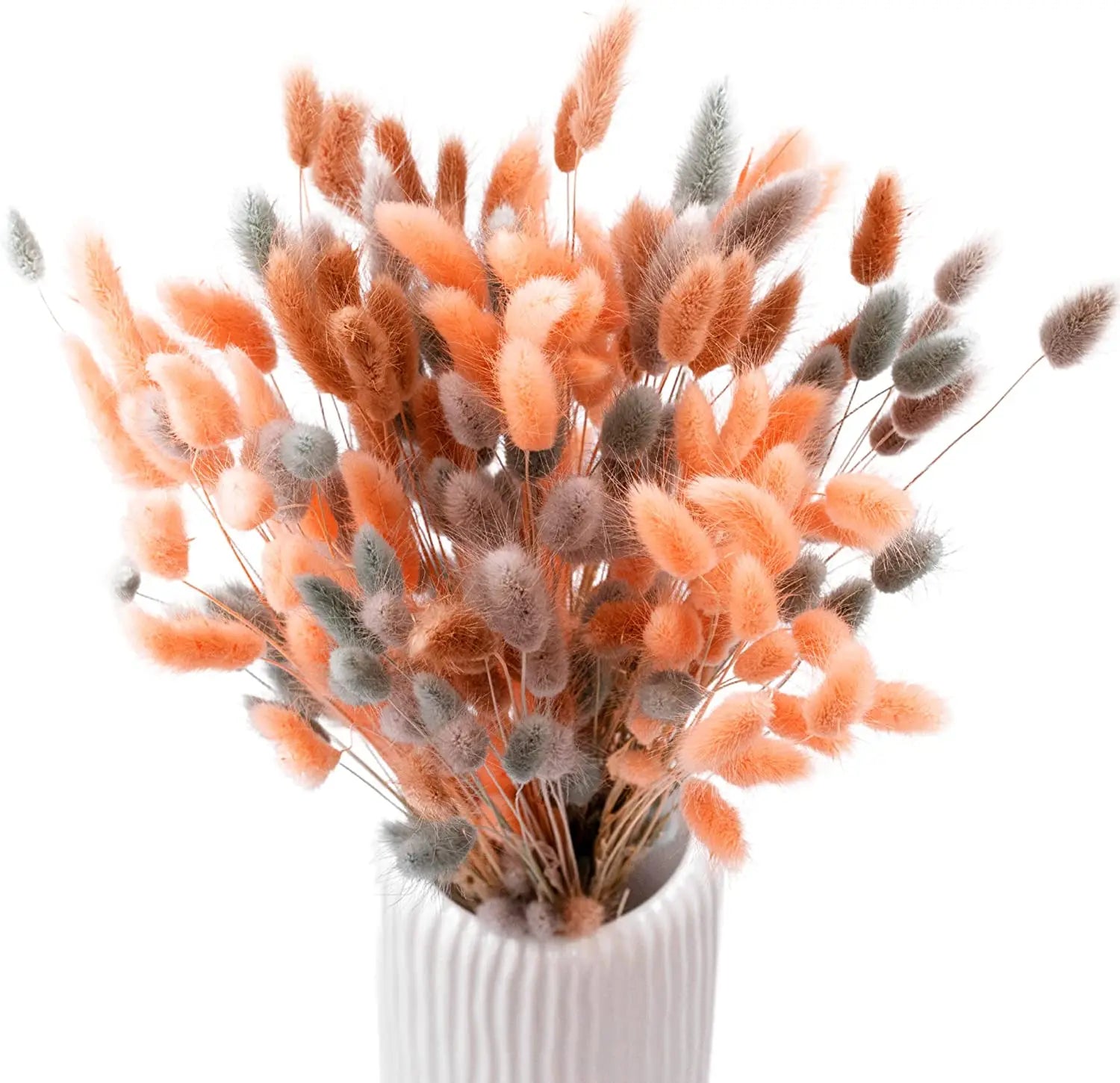 Obbty 100Pcs Mix Dried Natural Rabbit Bouquets Bunny Tail Grass Dry Lagurus Flower Pampas Grass for Party Boho Wedding Home Decoration