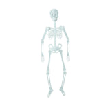 Obbty 150/90/30cm Luminous Skeleton Halloween Event Props Bar Haunted House Decorations Fluorescent Skeleton