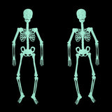 Obbty 150/90/30cm Luminous Skeleton Halloween Event Props Bar Haunted House Decorations Fluorescent Skeleton