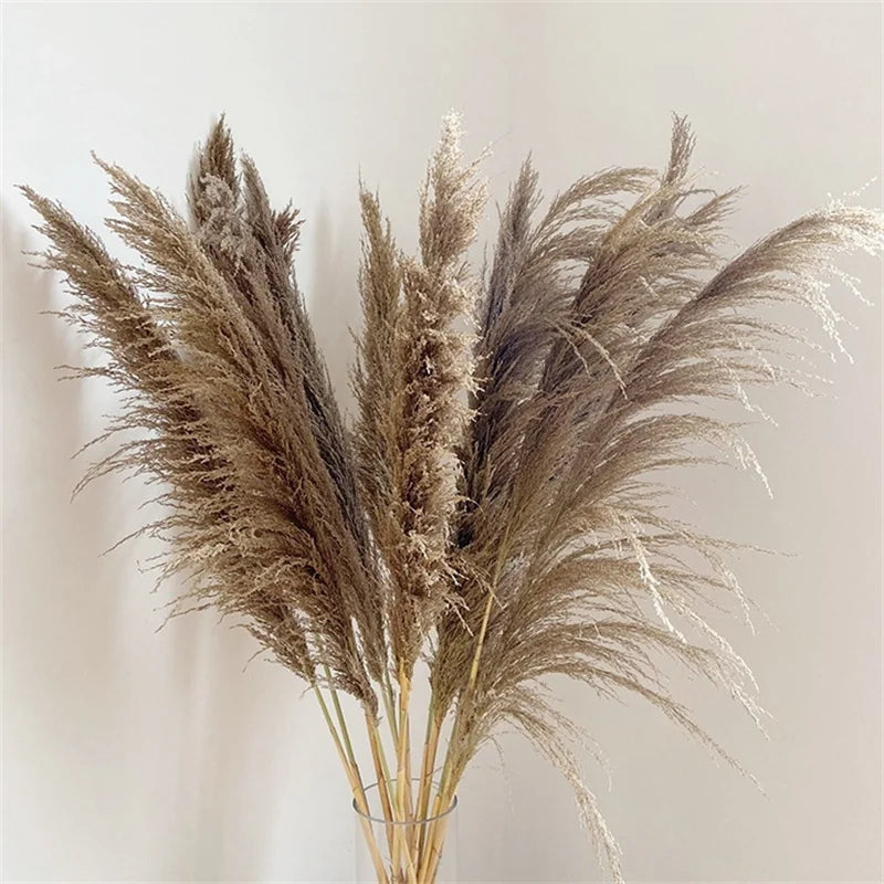 Obbty 80-120cm Tall Dried Pampas Grass Flowers Arrangement Large Fluffy Pampas Decor artificial Plant for Vase Home Boho Wedding Decor